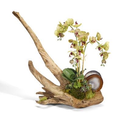 Faux Silk Orchid Arrangement in Planter