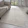 Textured Fringed Area Rug