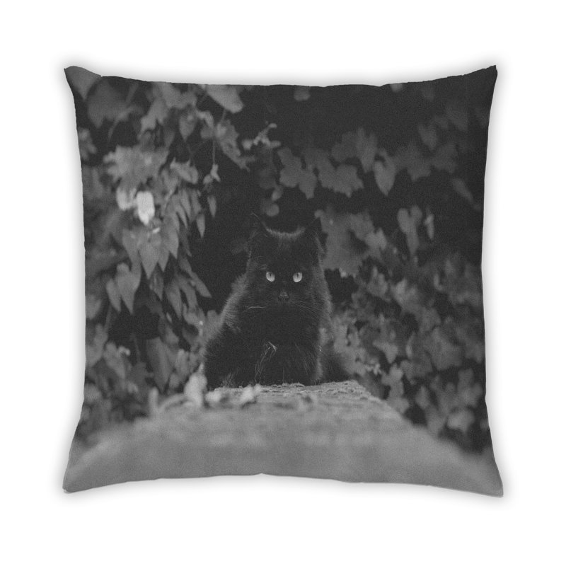 Throw Pillow, Microsuede