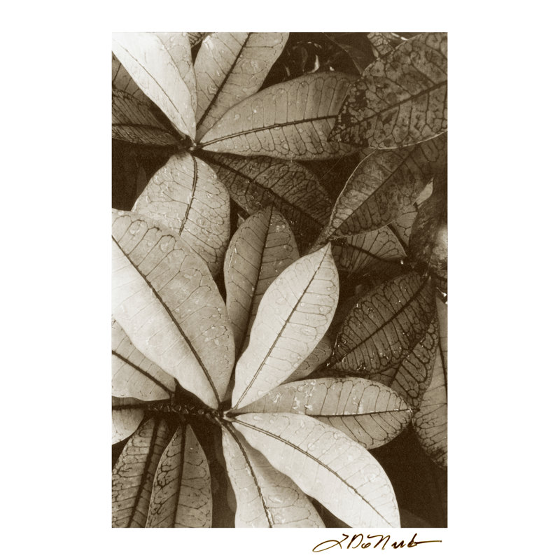 Textures de jardin I, H 48 po x l 32 po x P 1,25 po