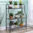 Austyn-James 3 Tier Plant Stand