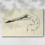 Heron Head II-Gallery Wrapped Canvas-1820080093