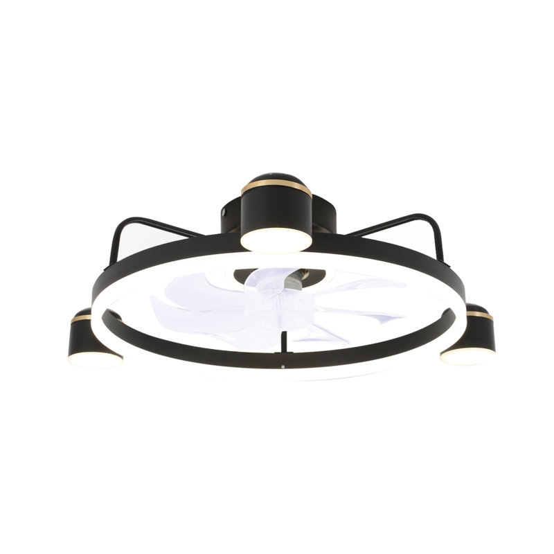 Flyn 28'' Dimmable Ceiling Fan with LED Lights and Remote