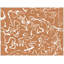 Ancient Gestures Print by Mat Sanders