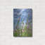 "Fleurs sauvages" par Dennis Frates-1448804138