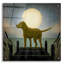 «Moonrise Yellow Dog» par Ryan Fowler-1752158254