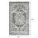 Raghdah Oriental Indoor Rug