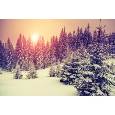 Winter Landscape - Wrapped Canvas Print