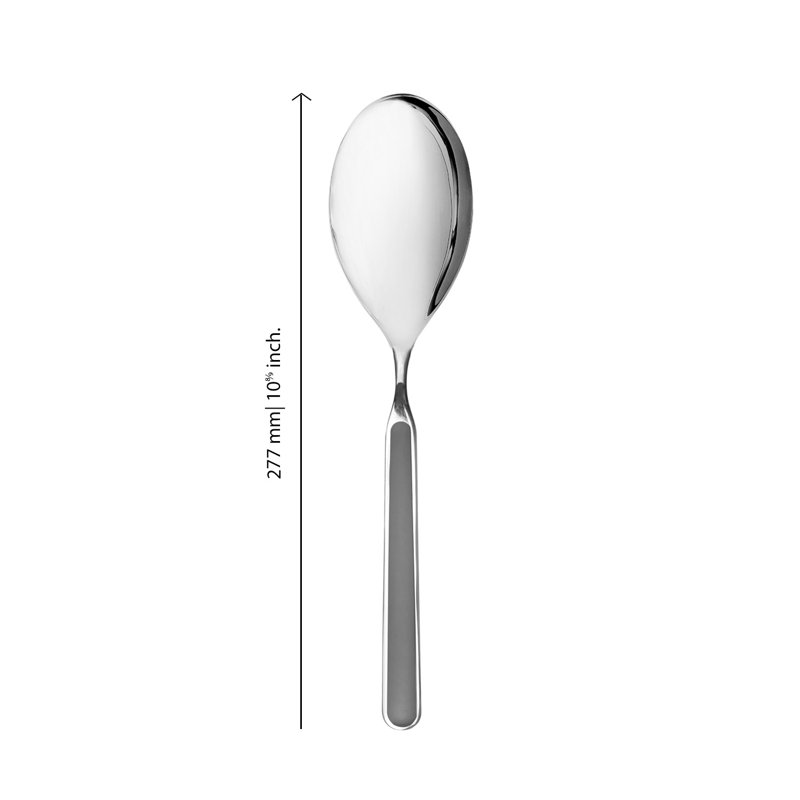 Fantasia Risotto Spoon, Vicuna
