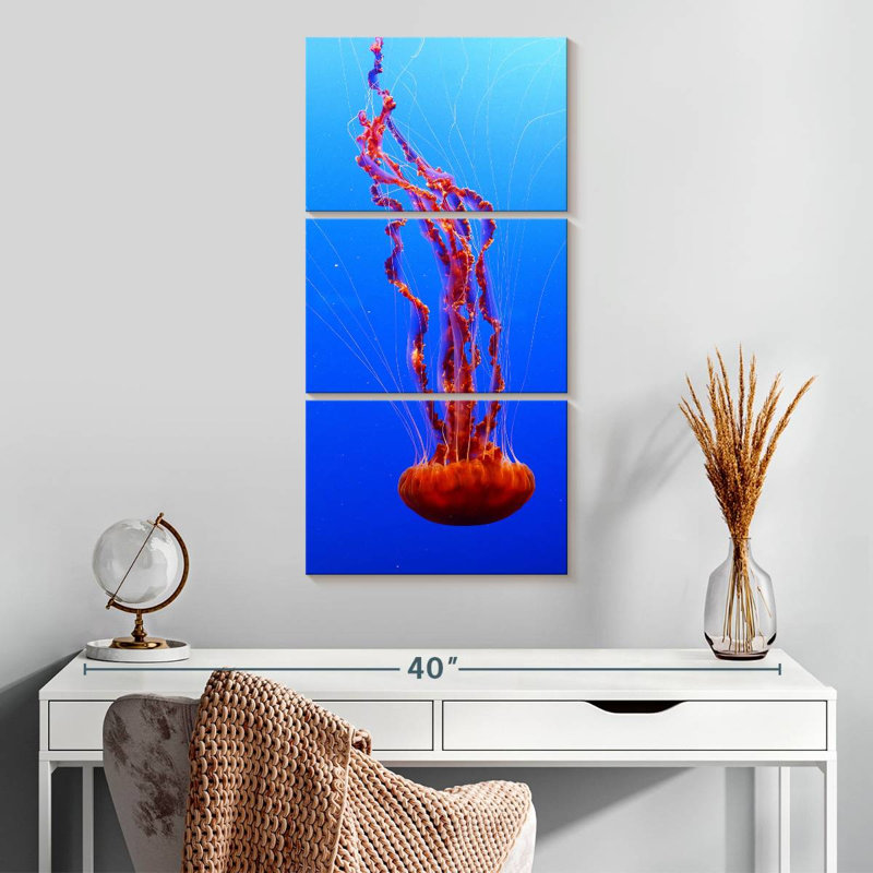 Ortie de mer méduse, H 32 po x l 15 po