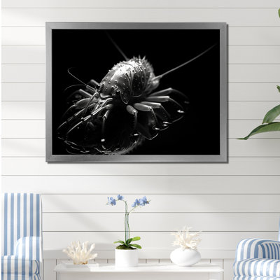 Black And White Monochrome Mantis Shrimp On Canvas Print -  Highland Dunes, E172E03A311A499A9D2E2567942FFF2A