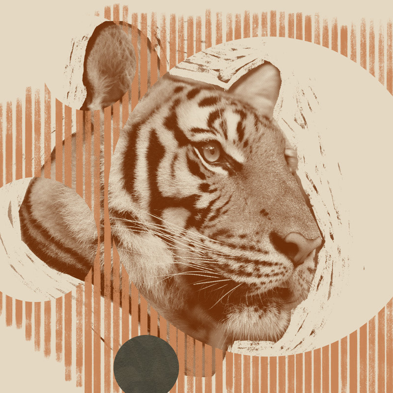 Pop Art Tiger I by Jacob Green - Wrapped Canvas Print, 91cm H x 91cm W x 3.8cm D