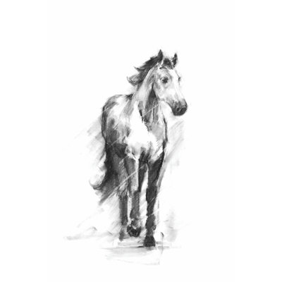 Équitation dynamique II