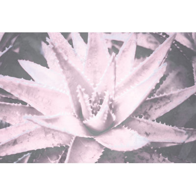 Pastel Succulents 6 - Wrapped Canvas Print