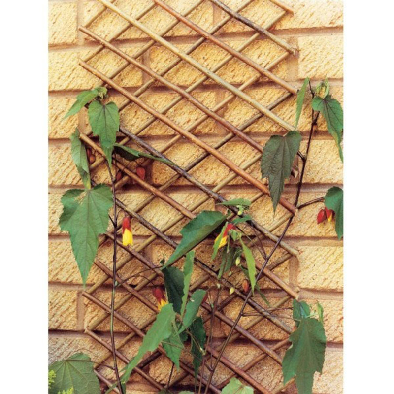 Treillage extensible en bois de saule, H 12 po x l 72 po x P 1 po