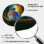 Magnifique oiseau bleu brillant sur une branche III - animaux en forme d'oiseau-1740310063