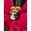 Un feston de Noël