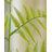 Artificial Tall Fern Leaf Stem-994261990-994261991-994261986