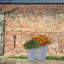 Contemporary Smooth Handmade Pot Planter-35994083-36035289