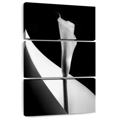 Harnek BW Calla Lily