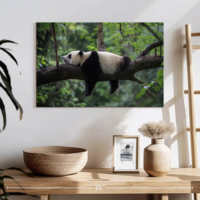 Brampt Lazy Panda, 16" H x 24" W