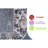 6X9 Multi / Traditional Area Rug-633708024
