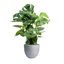 Pot à fleur Dorlis Fiberstone-881441128-881441044