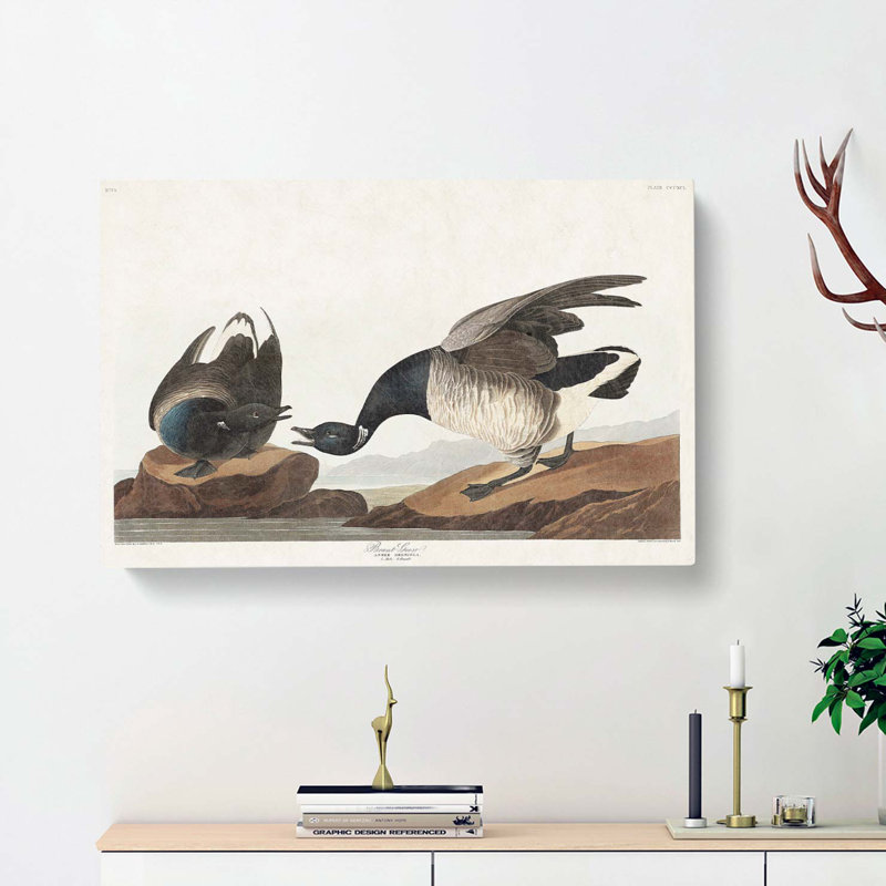 Brant Geese by John Audubon - Wrapped Canvas Painting, 35cm H x 50cm W x 3cm D