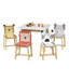 5 Piece Kiddy Table and Chair Set