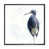 Cadre noir