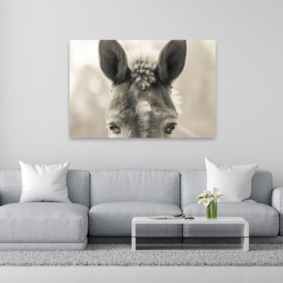 Mr. Mule Abstract Contemporary Art