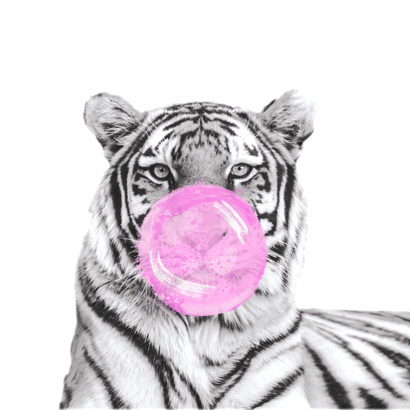 " Tiger Blowing Bubble ", 20" H x 20" W