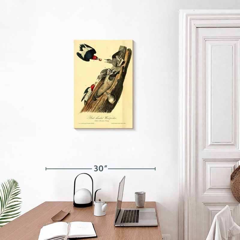 Pic à tête rouge Brampt d'oiseaux d'Amérique, H 24 po x l 16 po
