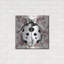 "Coccinelle, papier peint carré" par Dean Russo-386137635