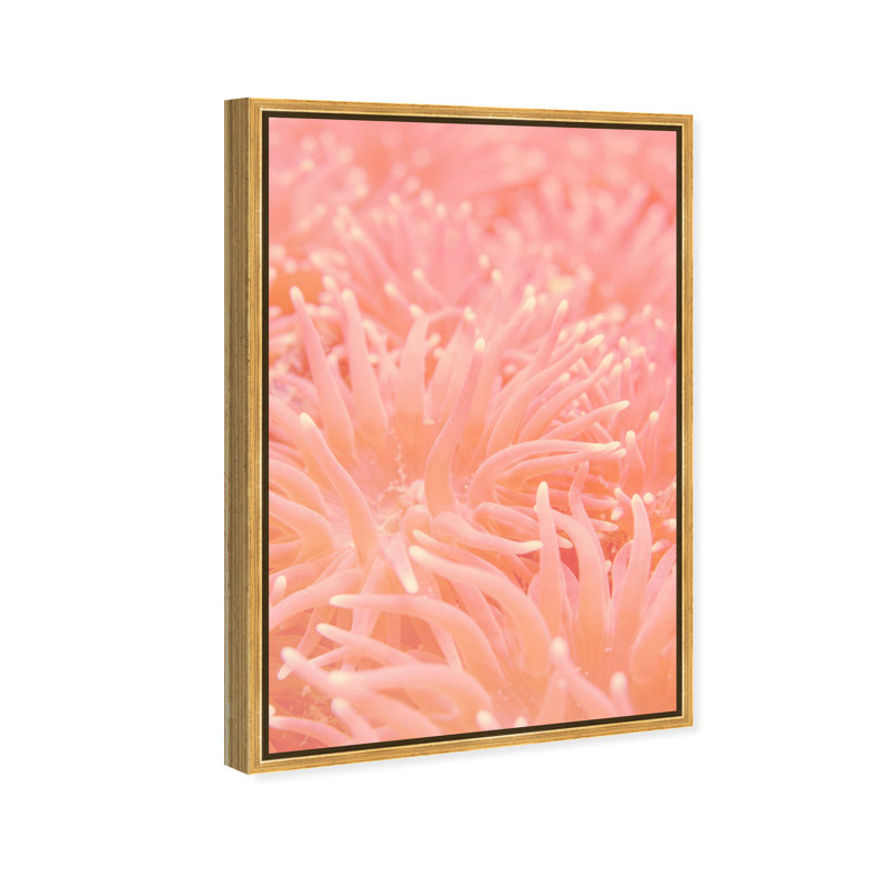 Deep Sea Flowers Print by Oliver Gal, 16"H x 11"W, Gold Floater Frame