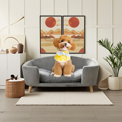 Lit pour chien surélevé pour petits chiens - Canapé en velours côtelé avec pieds en bois d'hévéa et mousse de soutien, assemblage facile pour les animaux de compagnie 11 à 25 lb