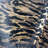 Brindle Tiger Print Cowhide Rug
