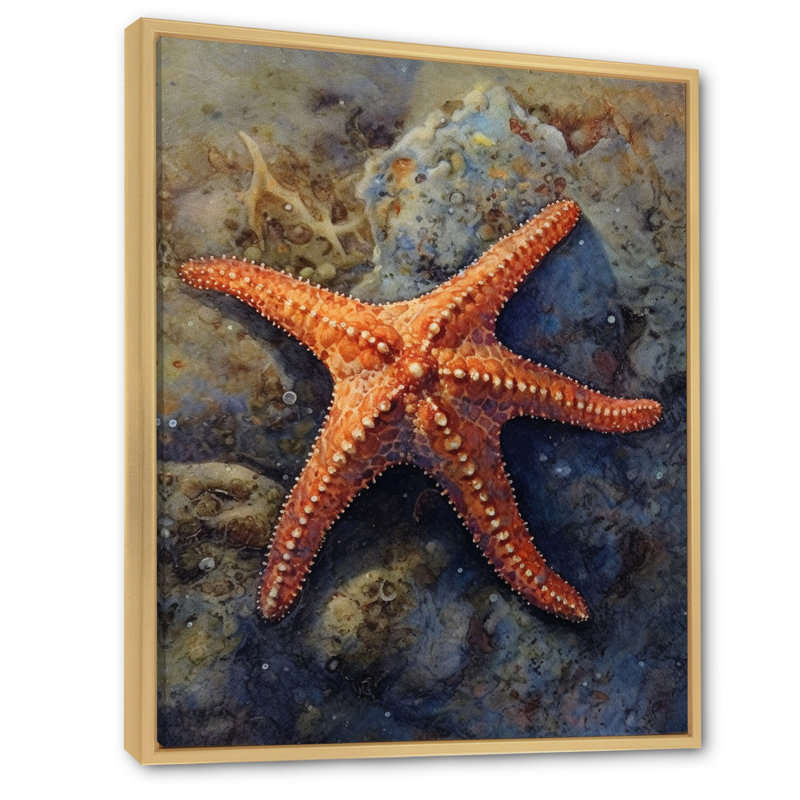 Étoile de mer Spinny I sur toile, Cadre naturel flottant, H 40 po x l 30 po x P 1,5 po