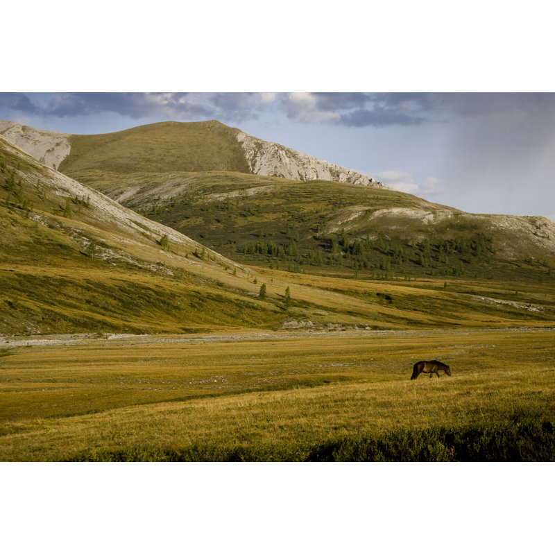 Mongolian Valley - Wrapped Canvas Print, 30cm H x 46cm W x 3.8cm D
