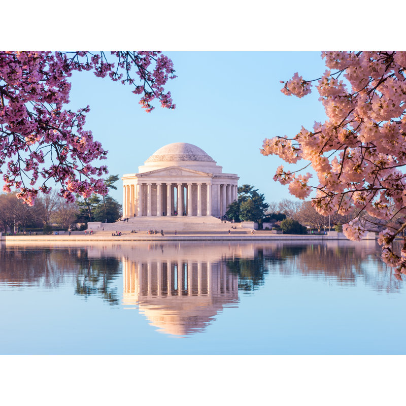 Sunrise Over The Cherry Blossoms Print by Steven Heap, Black Framed Canvas, 25" H x 33" W