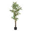 Ficus artificiel Lira de 69 po (pot non inclus)