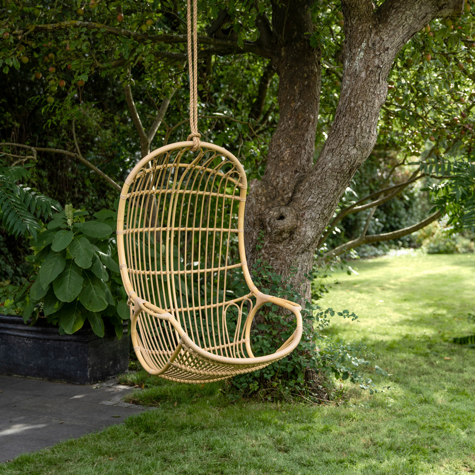 Riviera 1 Person Swing Chair, Brown