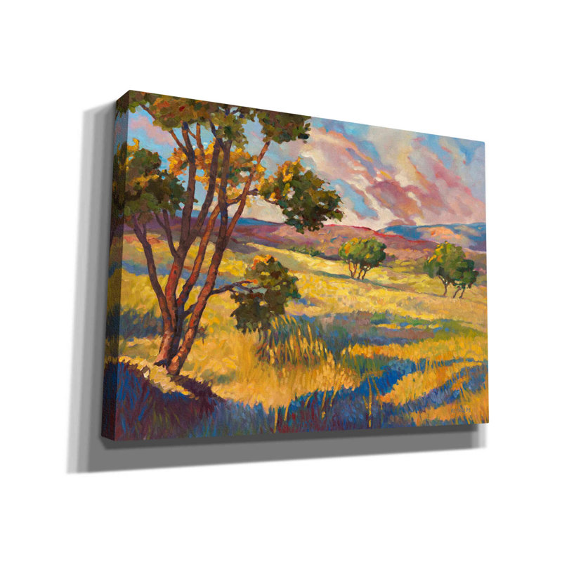 «Wide horizon 2» par Graham Reynolds, art mural sur toile, H 12 po x l 16 po x P 0,75 po