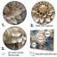 «Simplicity Mums Bloom» en beige et bleu pâle II - Mums, art mural-97014200-97014195