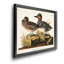 Vert sarcelle ailé - reproduction d'art sur toile-702171521-702171526