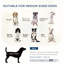 Canapé gris surélevé pour petits et moyens chiens avec coussinets amovibles et coussin moyen