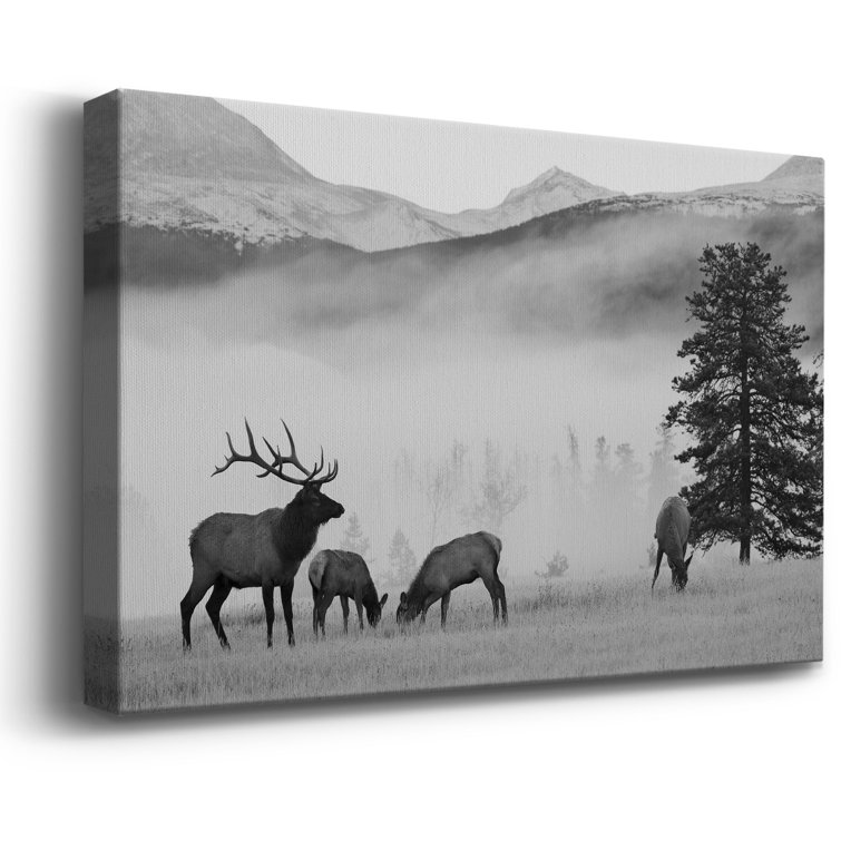 https://assets.wfcdn.com/im/56956728/resize-h755-w755%5Ecompr-r85/2448/244869899/Mountain+Elk+On+Canvas+Graphic+Art.jpg