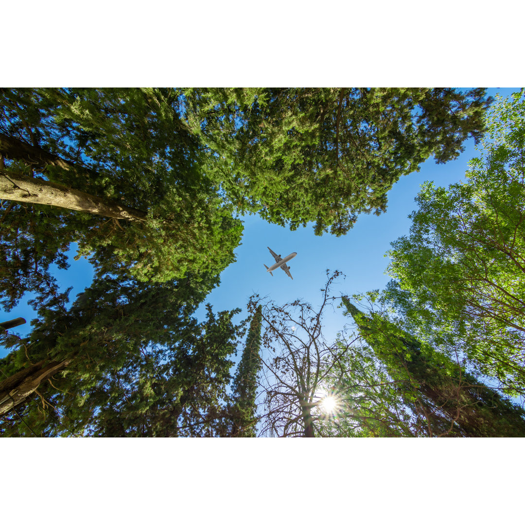 Leinwandbild Flugzeug fliegt über den Wald