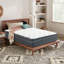 Matelas hybride EuroTop de 12 po Griggs compatible avec un lit réglable-1348082685-1418195614