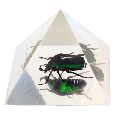 Prudhomme Animals Figurines & Sculptures